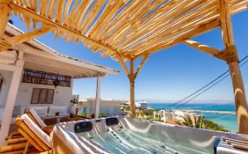 The Roof-Top